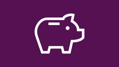 Icon: Source of income (white piggy bank)